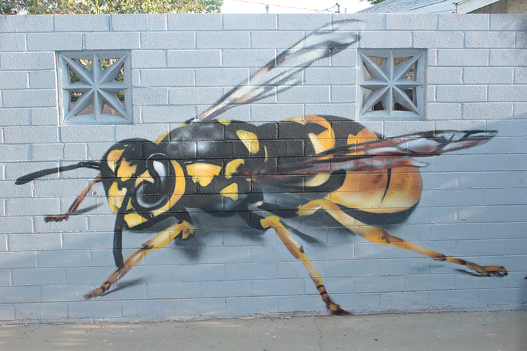 Wasp