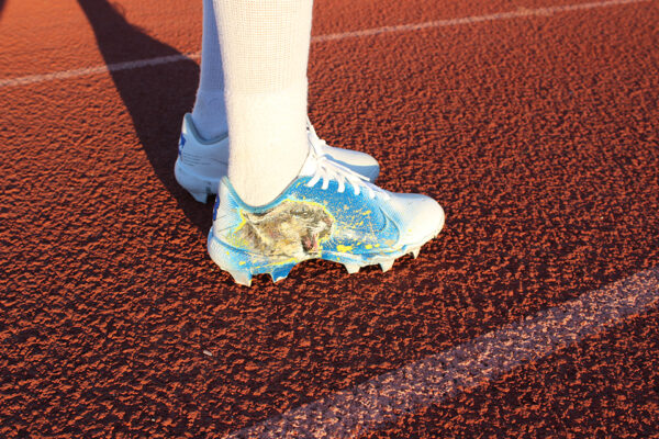 Cougar Cleats 01